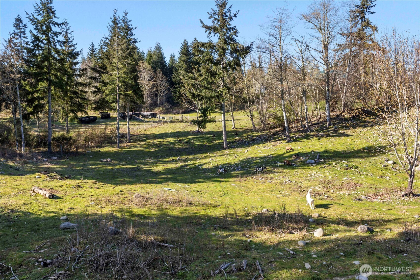 13113 Algyer Road Southeast Rainier, WA 98576 - Photo 35 of 40
