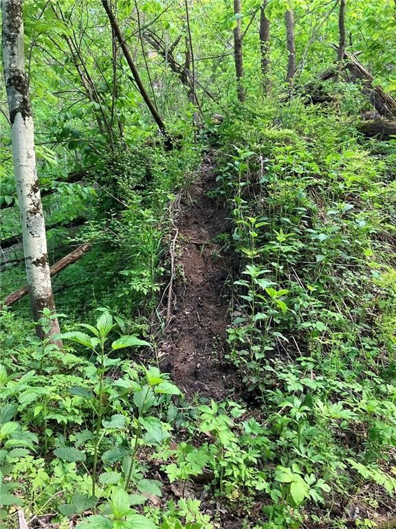 N3953-201 Bear Pen Road Arkansaw, WI 54721 - Photo 17 of 43