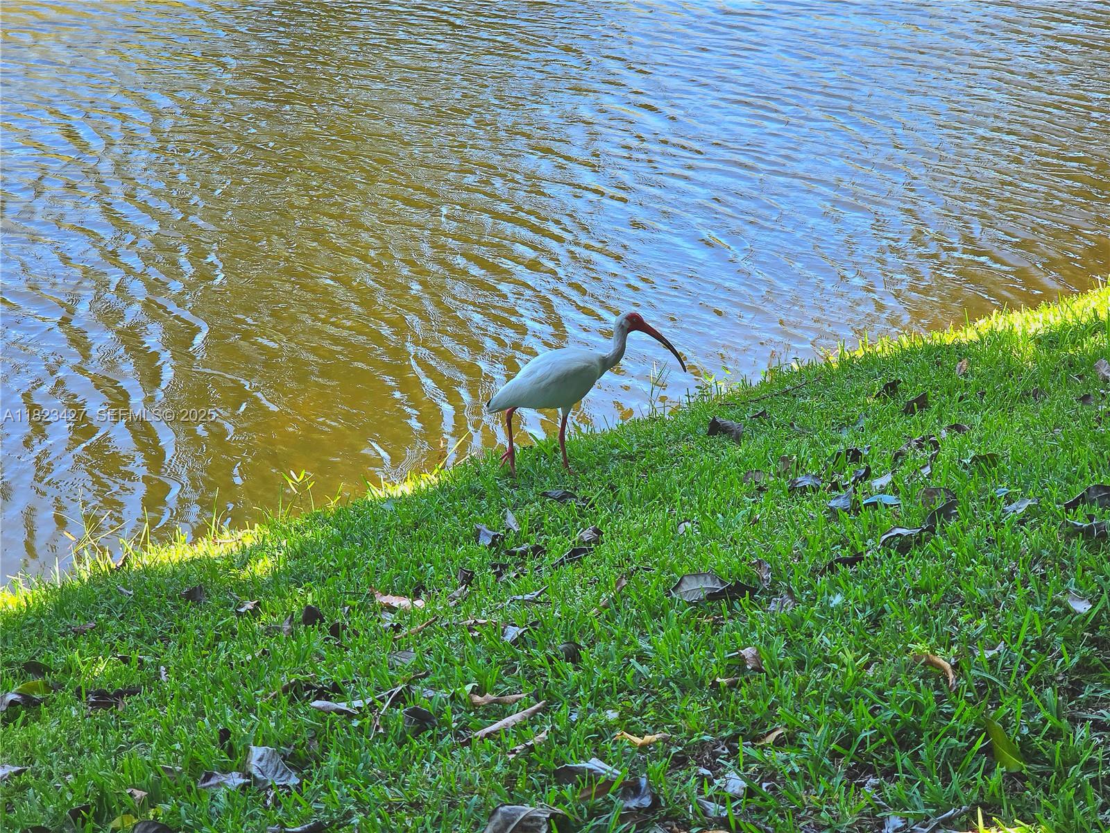 1711 Southwest 22nd Street Boynton Beach, FL 33426 - Photo 26 of 60