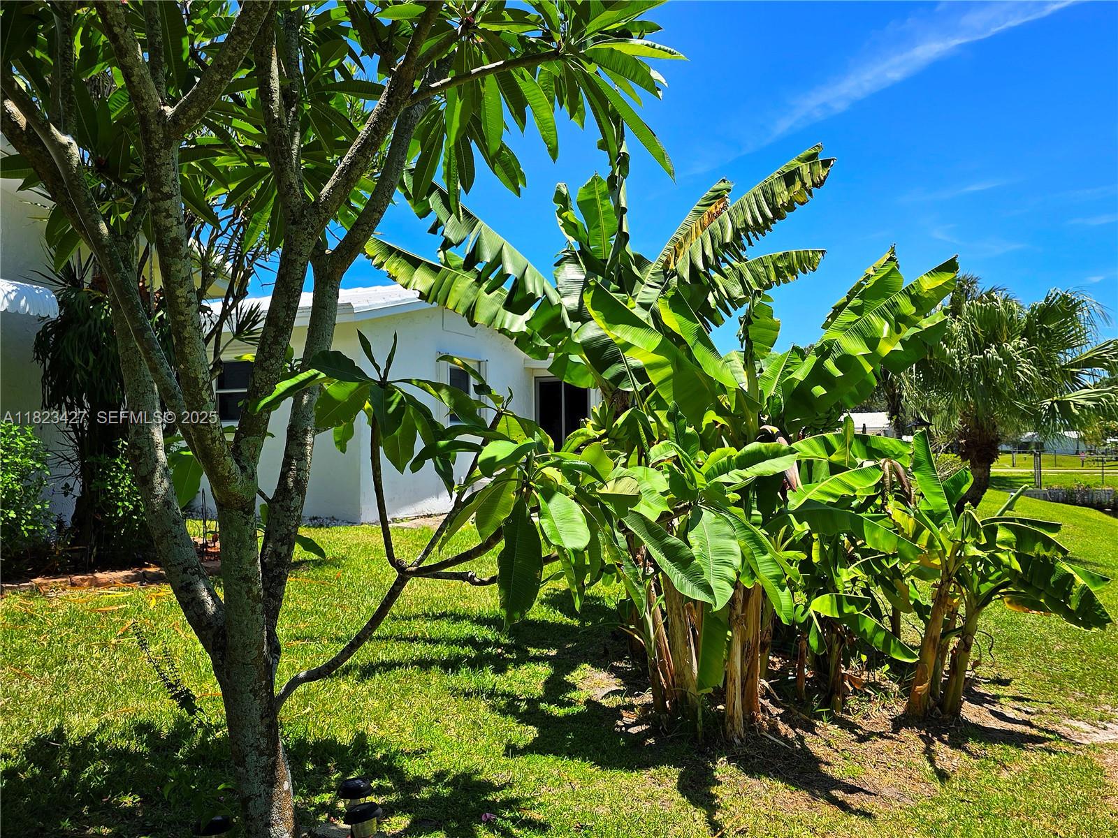 1711 Southwest 22nd Street Boynton Beach, FL 33426 - Photo 27 of 60 Bananas