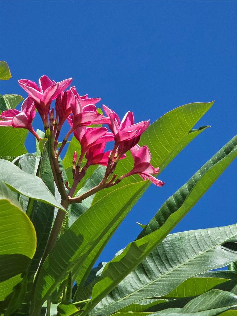 1711 Southwest 22nd Street Boynton Beach, FL 33426 - Photo 58 of 60