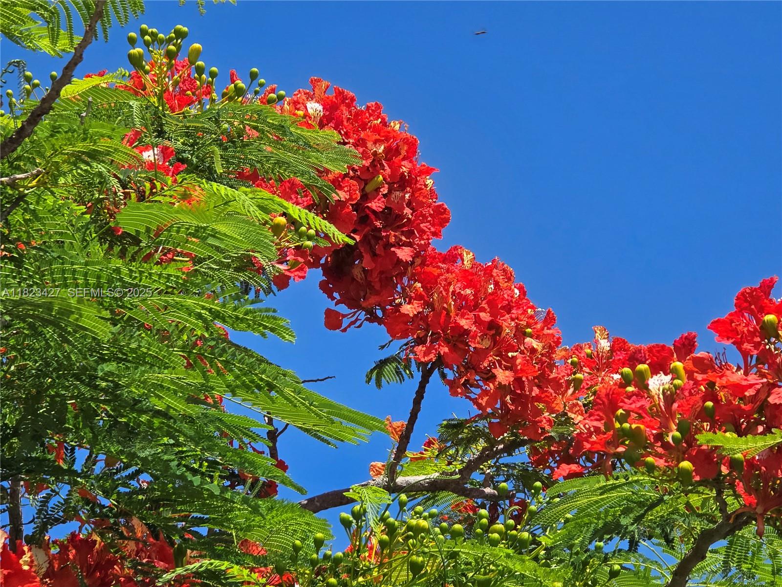 1711 Southwest 22nd Street Boynton Beach, FL 33426 - Photo 59 of 60