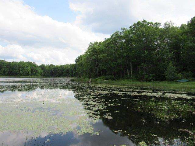 6613 Round Lake Road Rhinelander, WI 54501 - Photo 16 of 20 Gallery Image 16