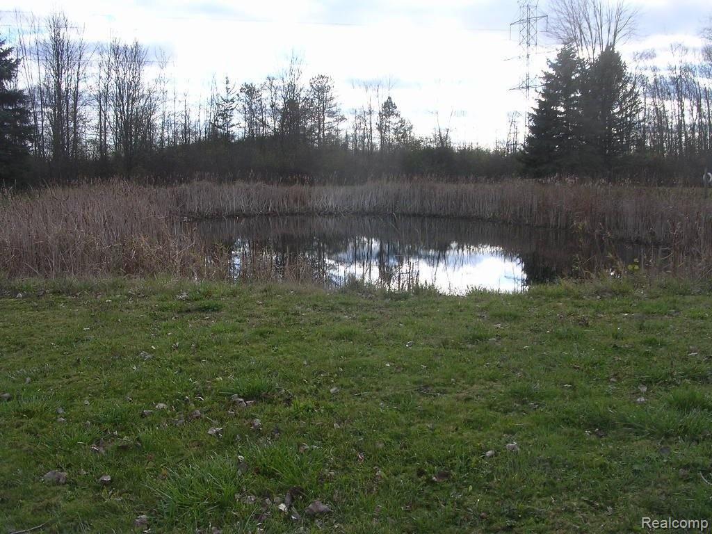 63855 Romeo Plank Road Ray, MI 48096 - Photo 8 of 23 RomeoPlnkPond.JPG