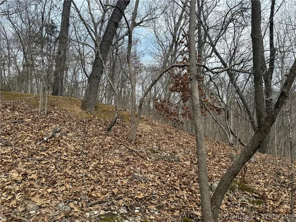 $8,000 | Lot 60 Pine Drive, Rocky Mount, MO 65072