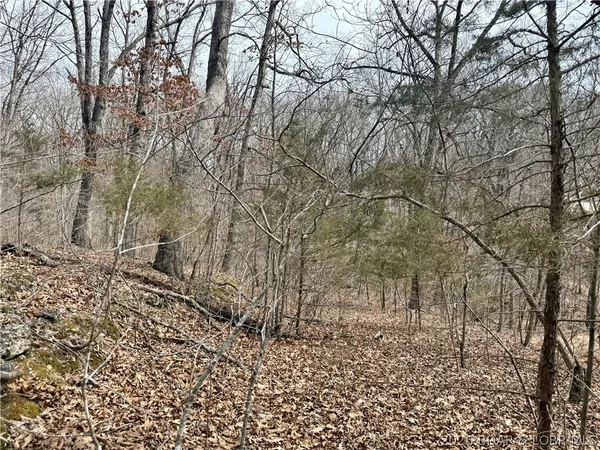 $8,000 | Lot 60 Pine Drive, Rocky Mount, MO 65072
