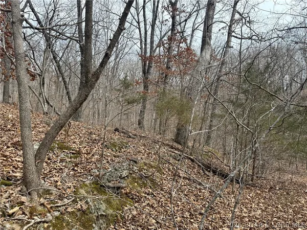$8,000 | Lot 60 Pine Drive, Rocky Mount, MO 65072