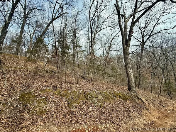 $8,000 | Lot 60 Pine Drive, Rocky Mount, MO 65072