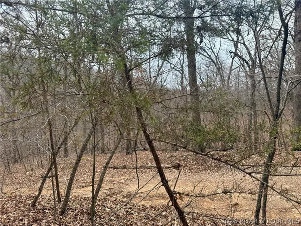 $8,000 | Lot 60 Pine Drive, Rocky Mount, MO 65072