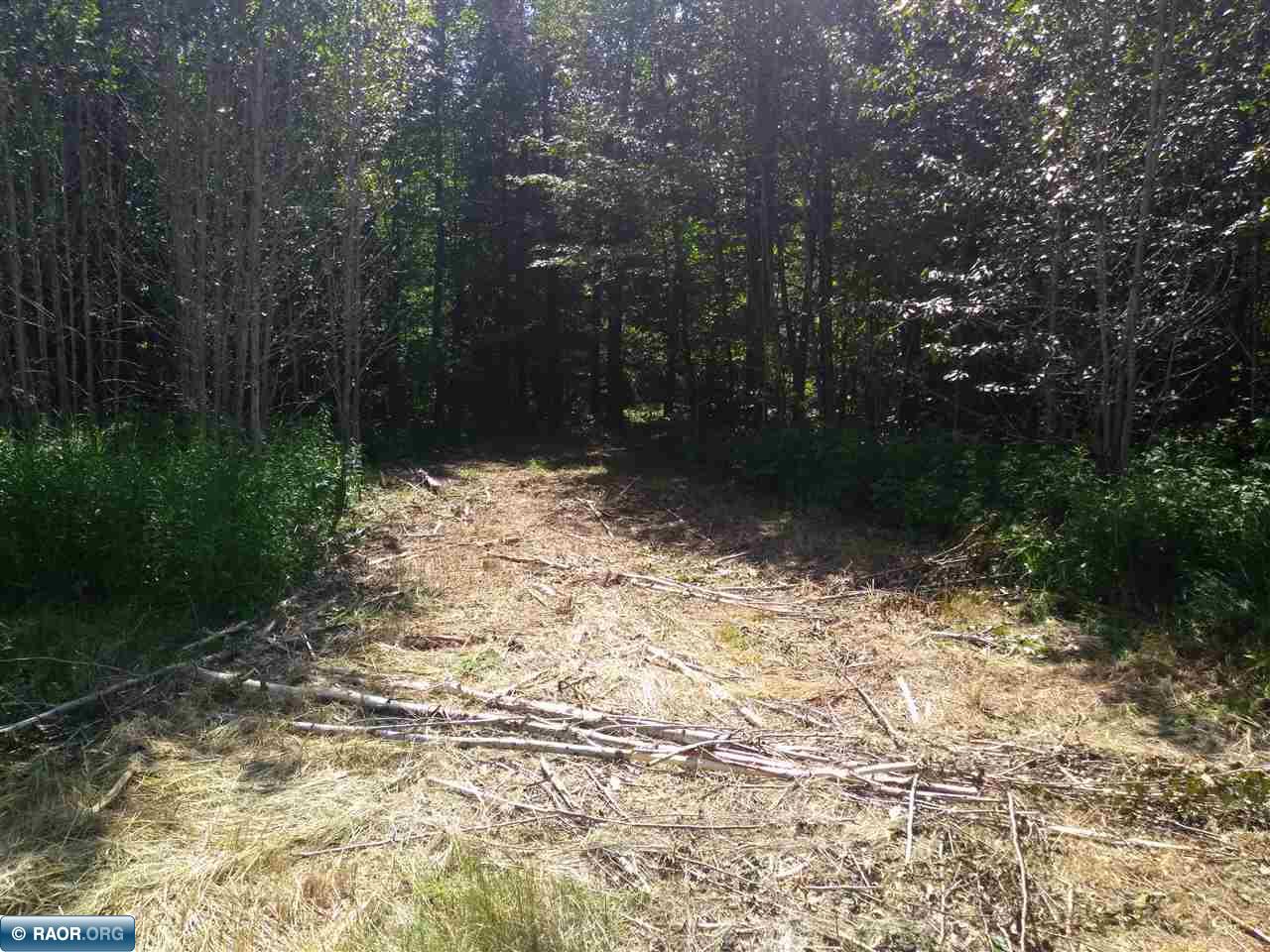 Tbd Tbd Road Hibbing, MN 55746 - Photo 8 of 9