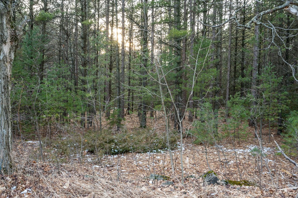 Lot 1 Quarterline Road Fish Creek, WI 54212 - Photo 13 of 21