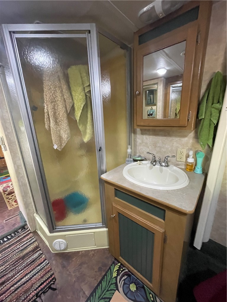619 Town Line Road German, NY 13801 - Photo 28 of 38 Shower and sink/vanity.