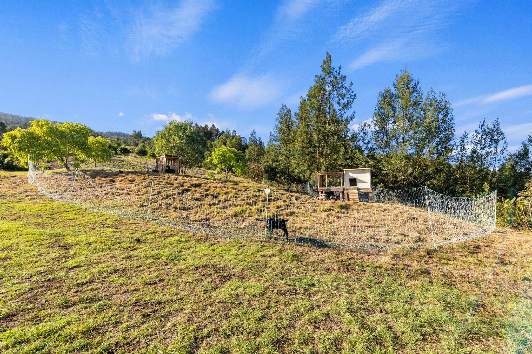 600 Middle Road, Unit B Kula, HI 96790 - Photo 27 of 45 Gallery Image 27