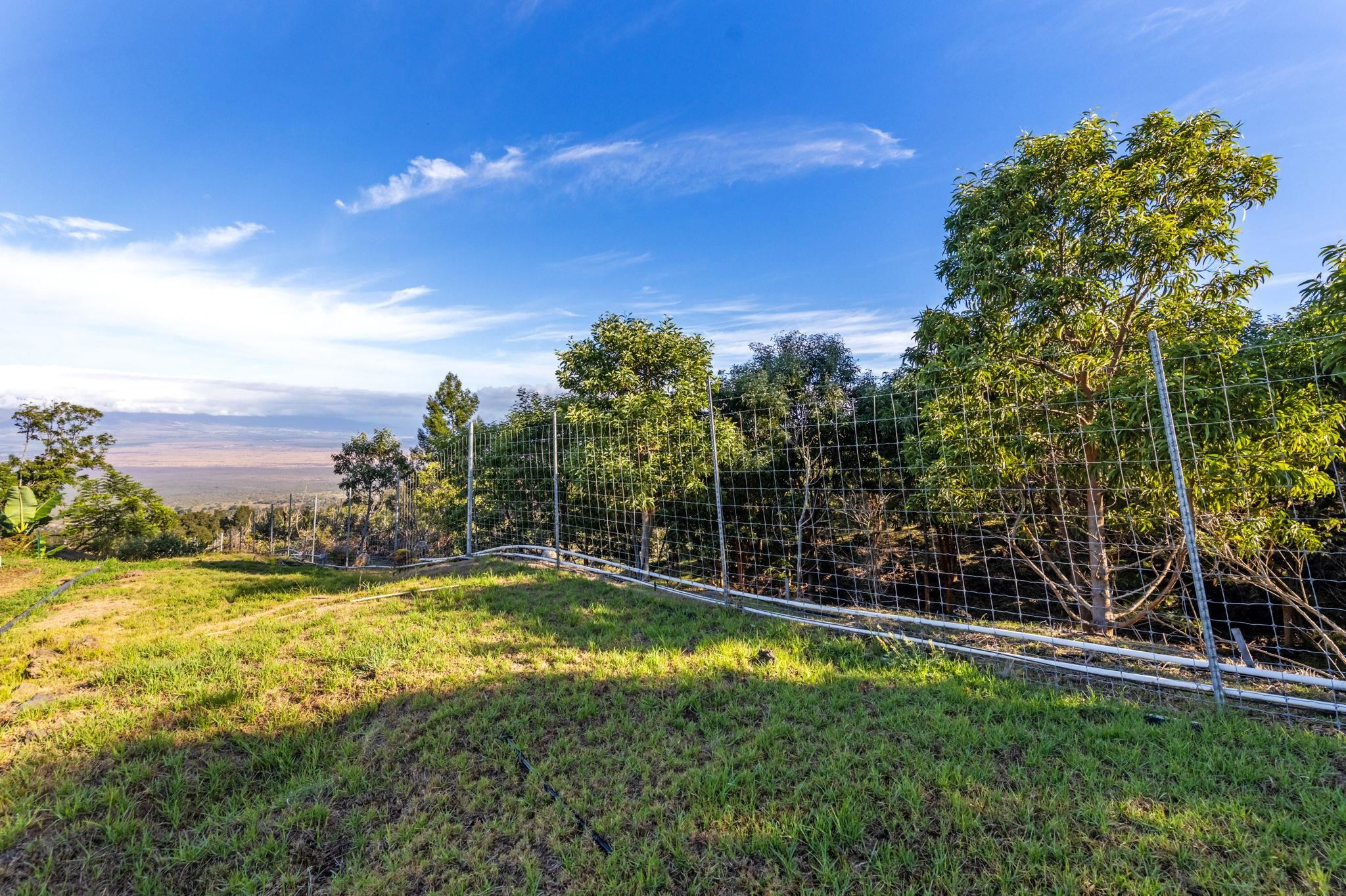600 Middle Road, Unit B Kula, HI 96790 - Photo 29 of 45 Gallery Image 29
