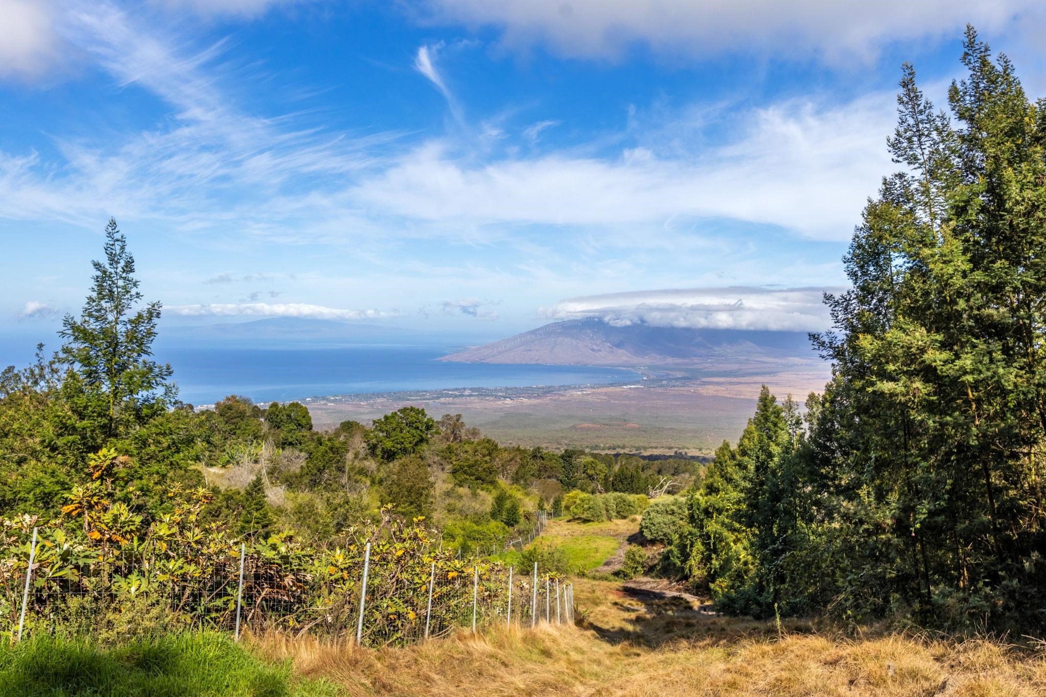 600 Middle Road, Unit B Kula, HI 96790 - Photo 31 of 45 Gallery Image 31