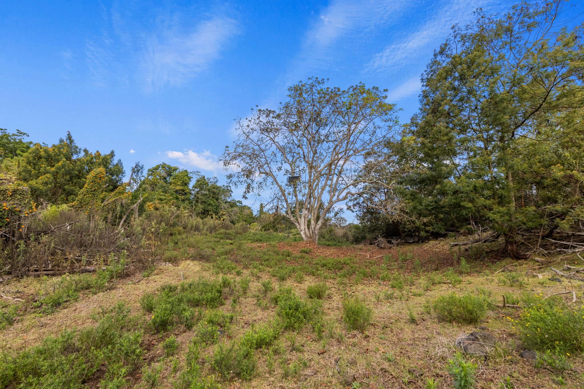 600 Middle Road, Unit B Kula, HI 96790 - Photo 35 of 45 Gallery Image 35