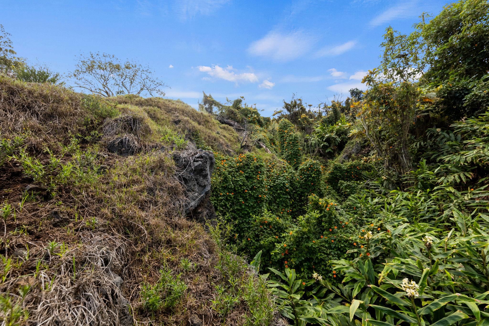 600 Middle Road, Unit B Kula, HI 96790 - Photo 39 of 45 Gallery Image 39