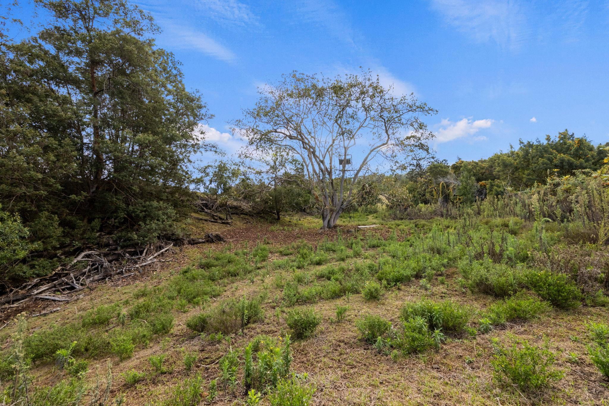 600 Middle Road, Unit B Kula, HI 96790 - Photo 40 of 45 Gallery Image 40