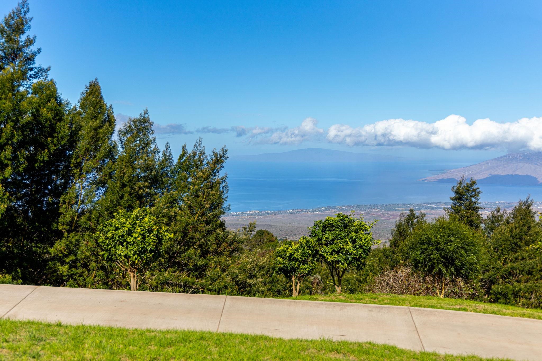 600 Middle Road, Unit B Kula, HI 96790 - Photo 4 of 45 Gallery Image 4