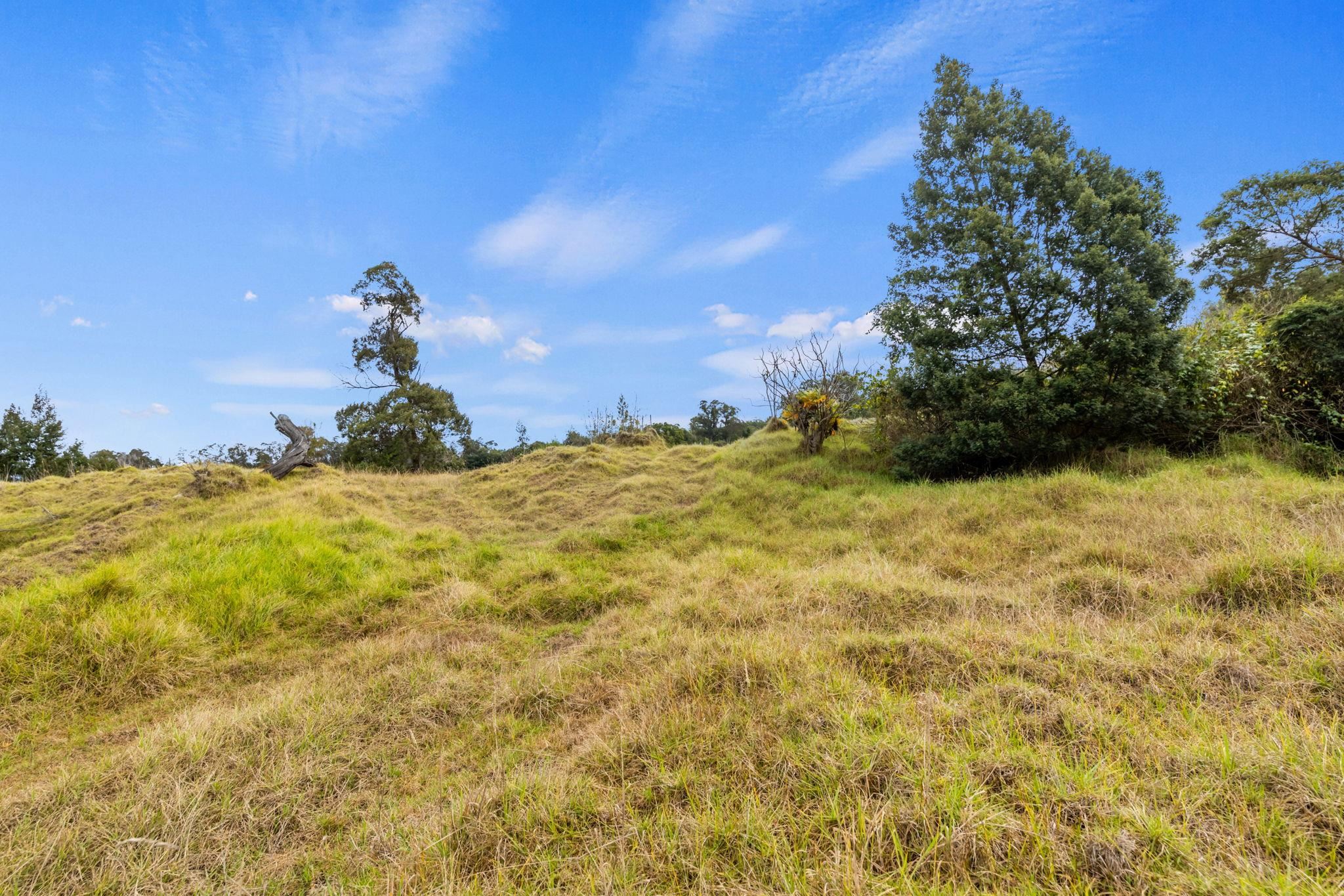 600 Middle Road, Unit B Kula, HI 96790 - Photo 41 of 45 Gallery Image 41