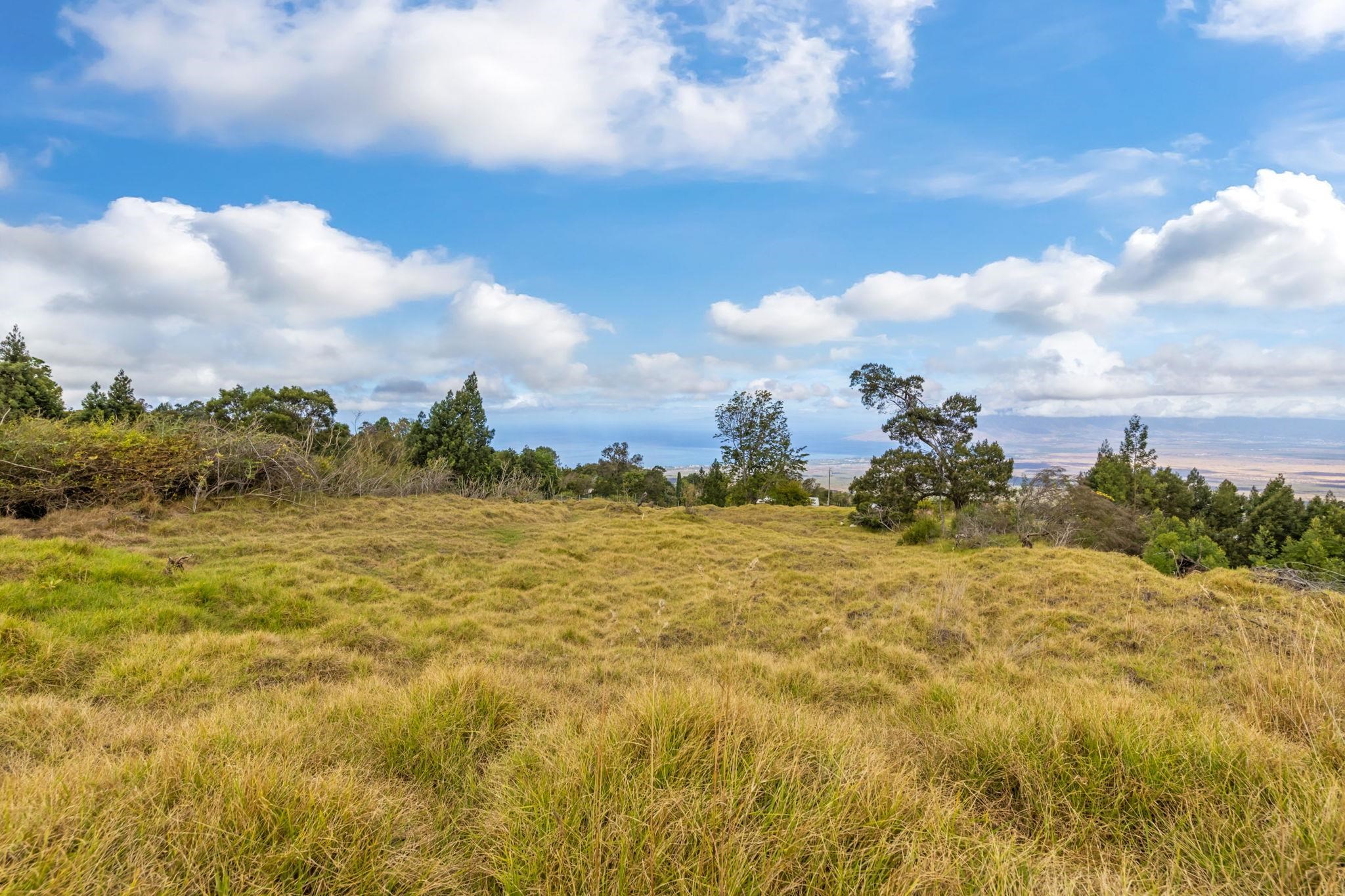 600 Middle Road, Unit B Kula, HI 96790 - Photo 43 of 45 Gallery Image 43