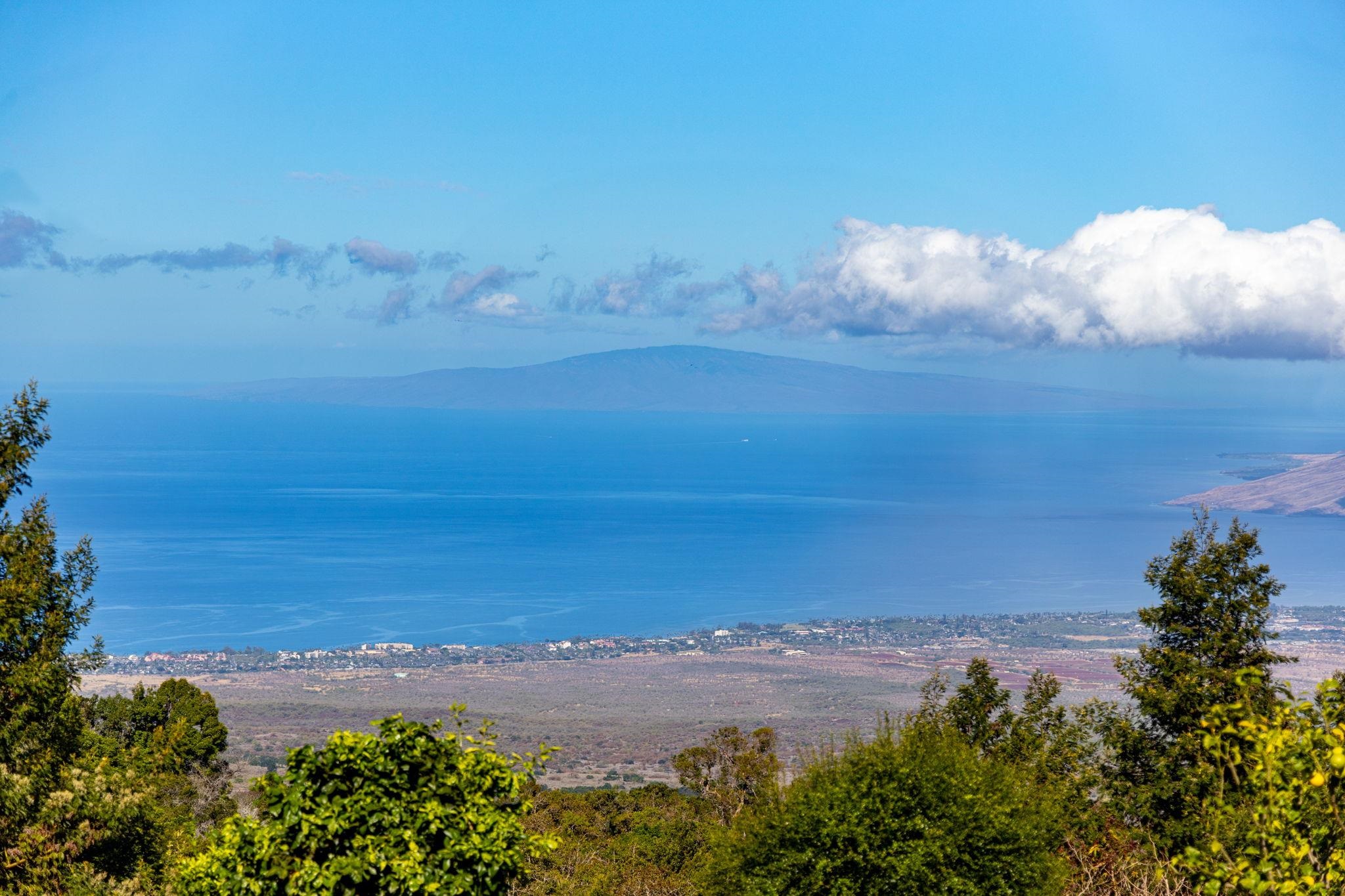 600 Middle Road, Unit B Kula, HI 96790 - Photo 5 of 45 Gallery Image 5