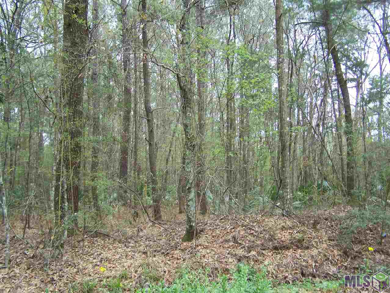 Tract E Avants Road Walker, LA 70785 - Photo 1 of 15 Gallery Image 1