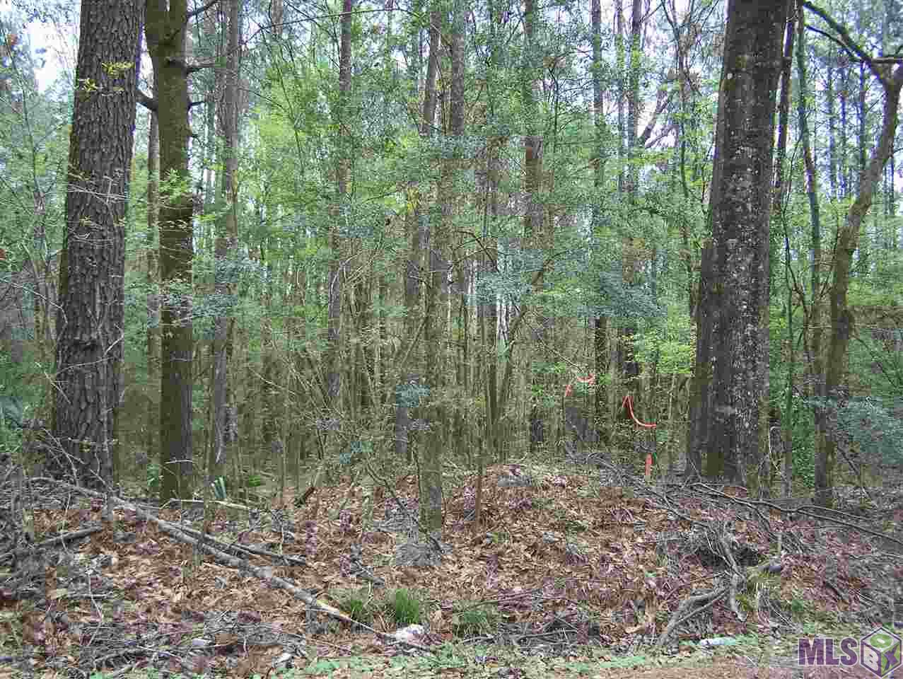 Tract E Avants Road Walker, LA 70785 - Photo 3 of 15 Gallery Image 3