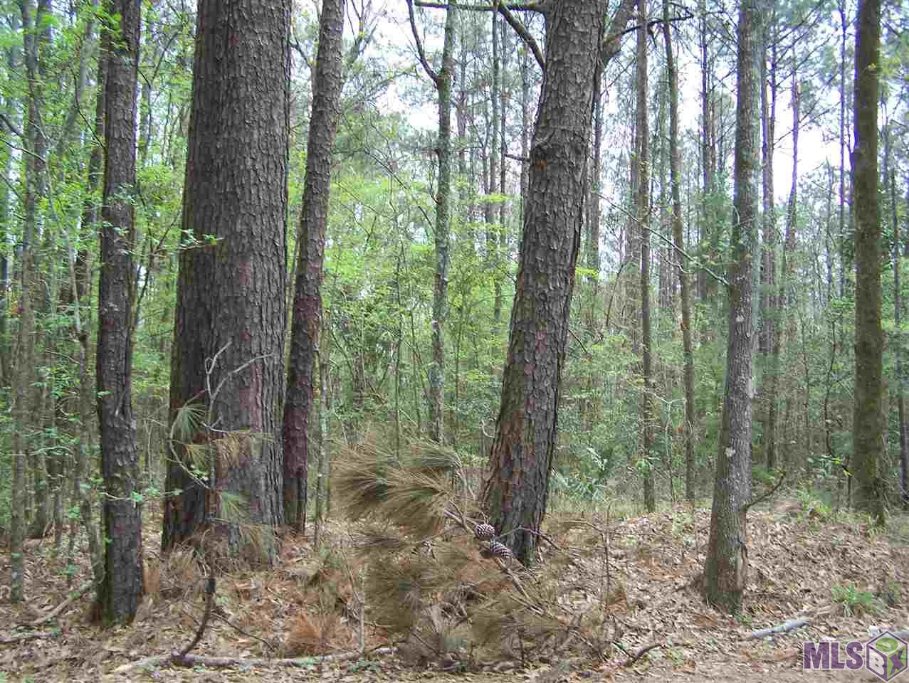 Tract E Avants Road Walker, LA 70785 - Photo 4 of 15 Gallery Image 4