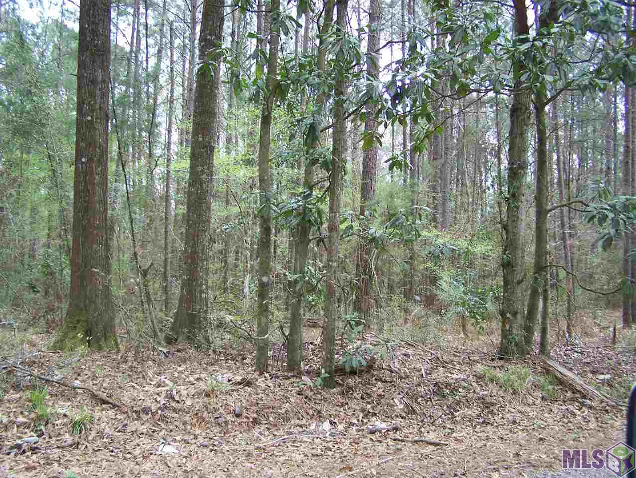 Tract E Avants Road Walker, LA 70785 - Photo 5 of 15 Gallery Image 5
