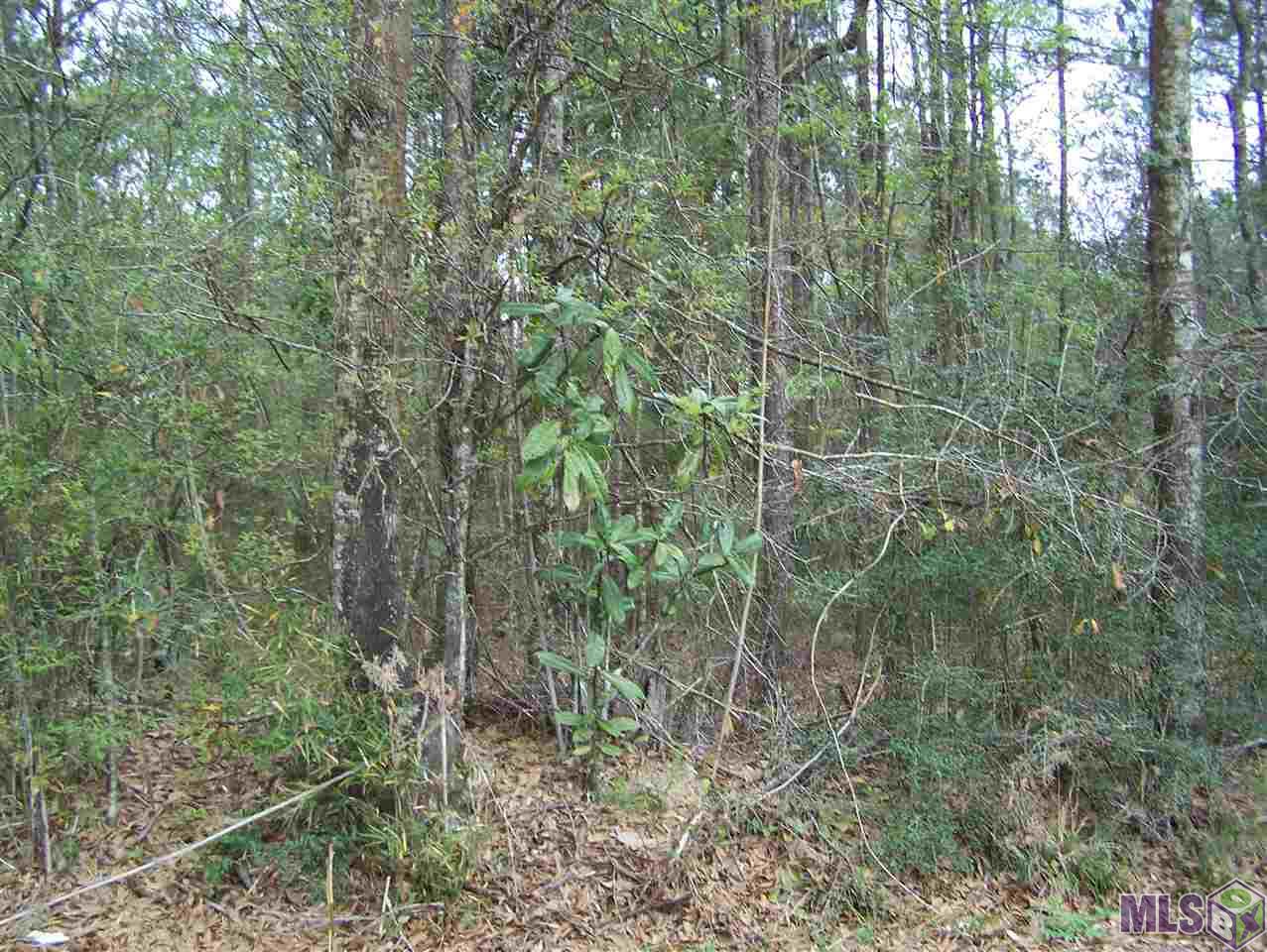 Tract E Avants Road Walker, LA 70785 - Photo 8 of 15 Gallery Image 8