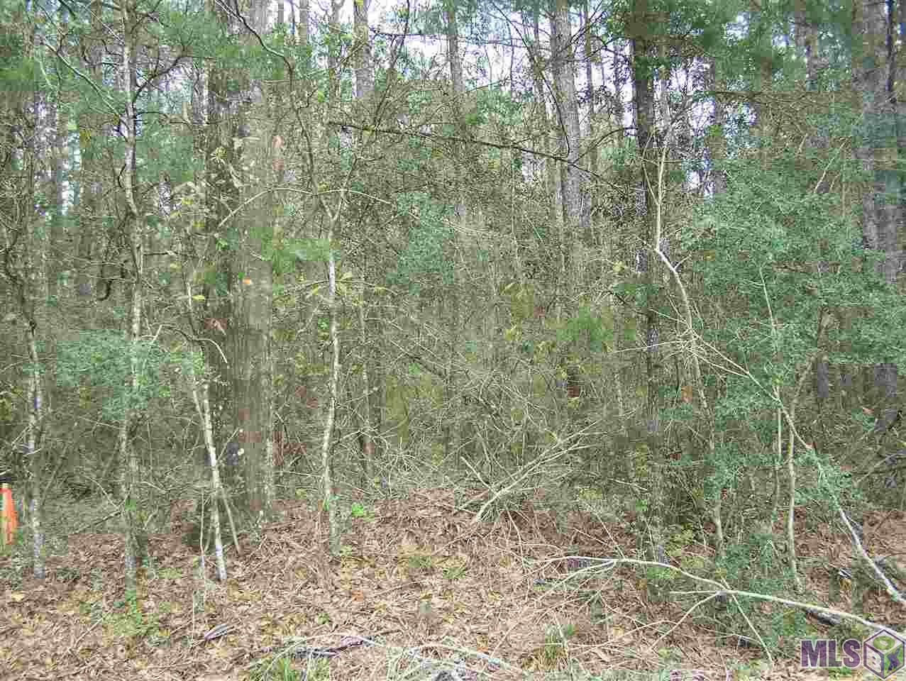 Tract E Avants Road Walker, LA 70785 - Photo 9 of 15 Gallery Image 9