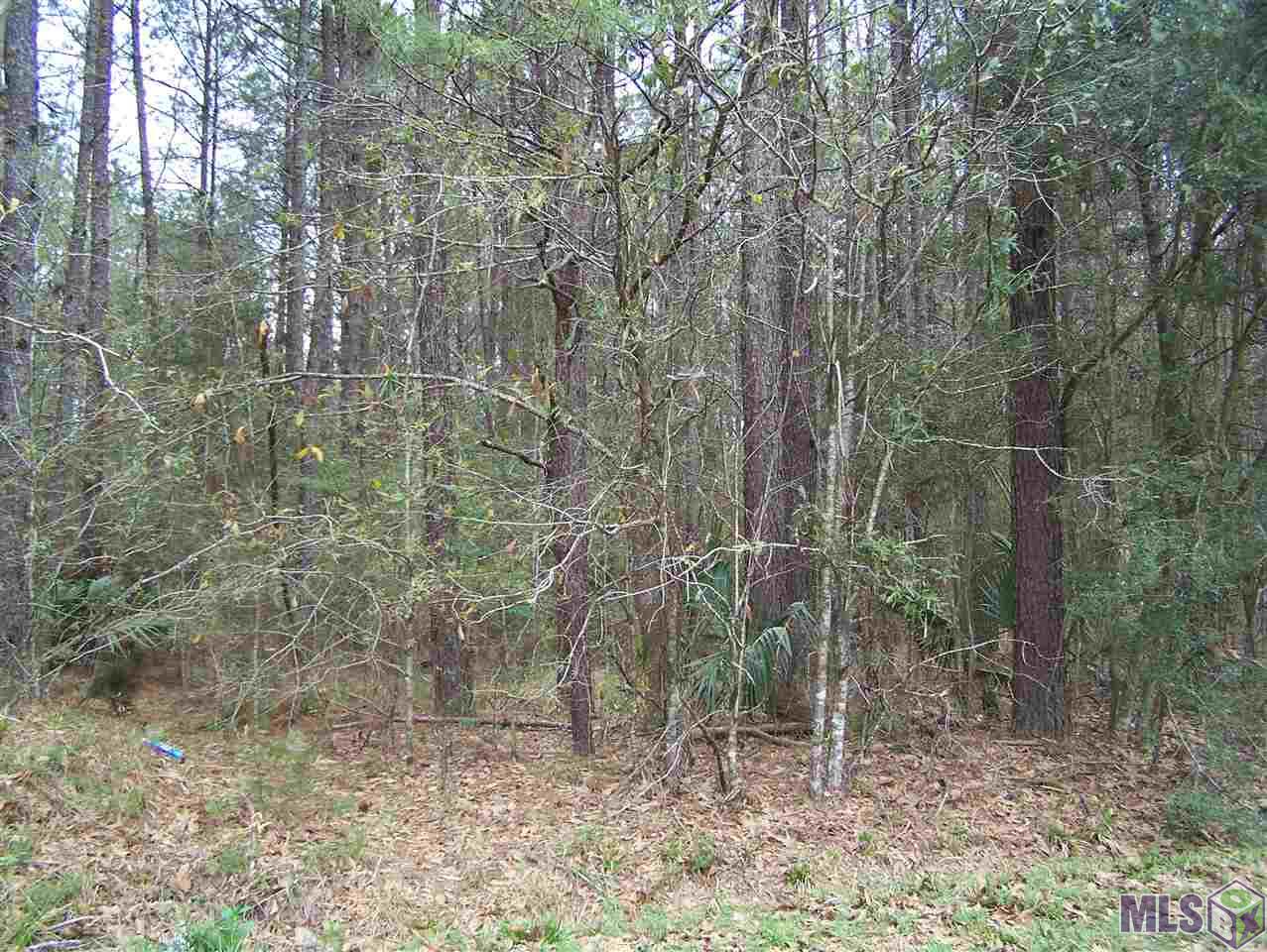 Tract E Avants Road Walker, LA 70785 - Photo 10 of 15 Gallery Image 10