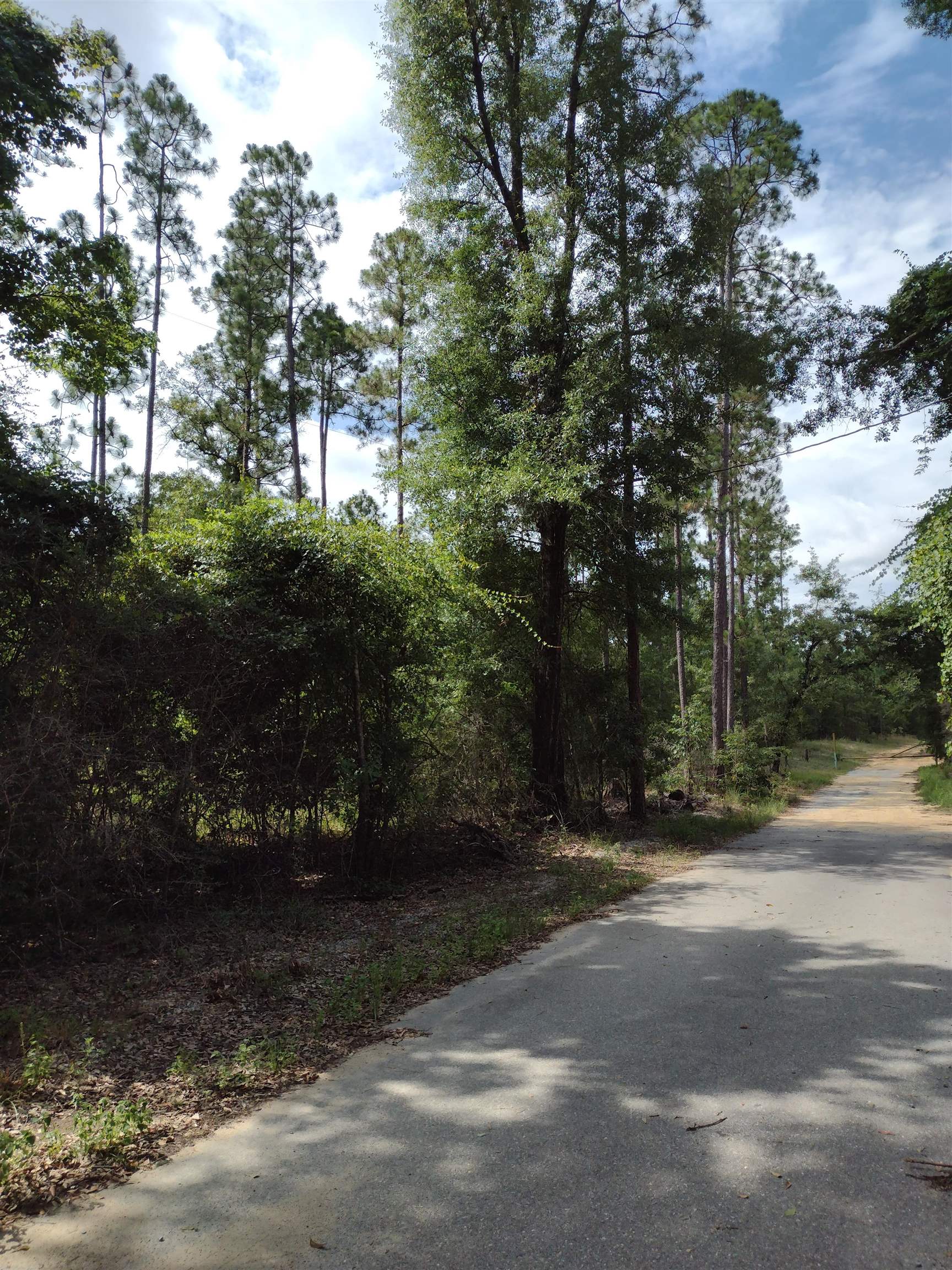 0 Silas Ganey Road Stockton, AL 36579 - Photo 1 of 6