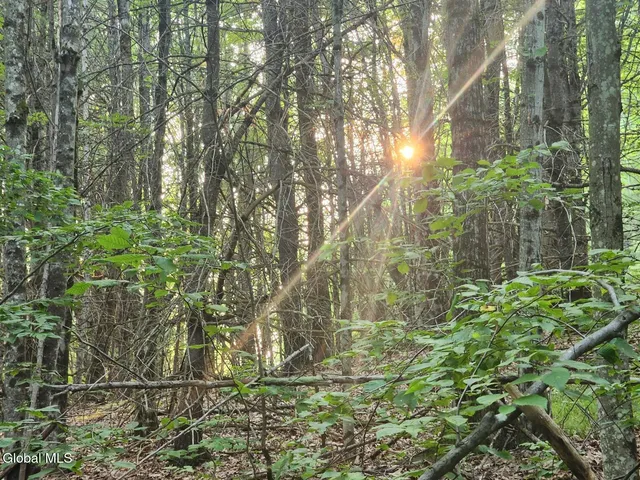 $36,000 | L11 Rebel Ridge Road, Jefferson, NY 12093