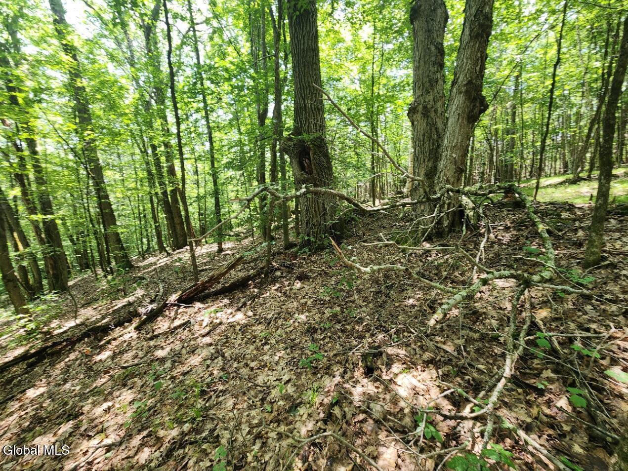 L11 Rebel Ridge Road Jefferson, NY 12093 - Photo 11 of 45 20250715_135031