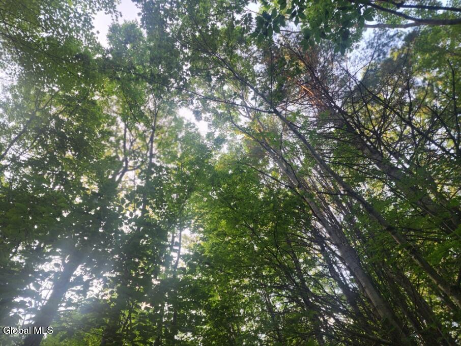 L11 Rebel Ridge Road Jefferson, NY 12093 - Photo 14 of 45 20250805_184258