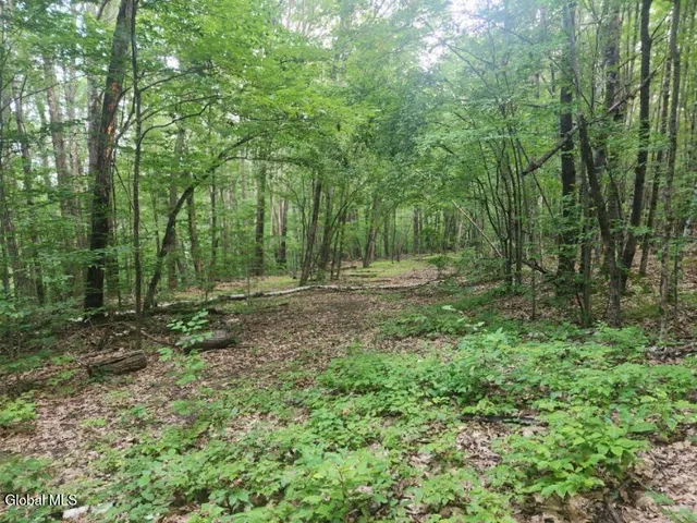 $36,000 | L11 Rebel Ridge Road, Jefferson, NY 12093