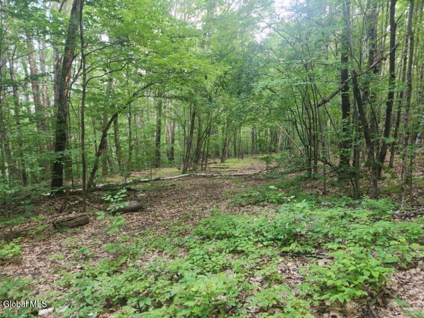 L11 Rebel Ridge Road Jefferson, NY 12093 - Photo 16 of 45 20250805_184327