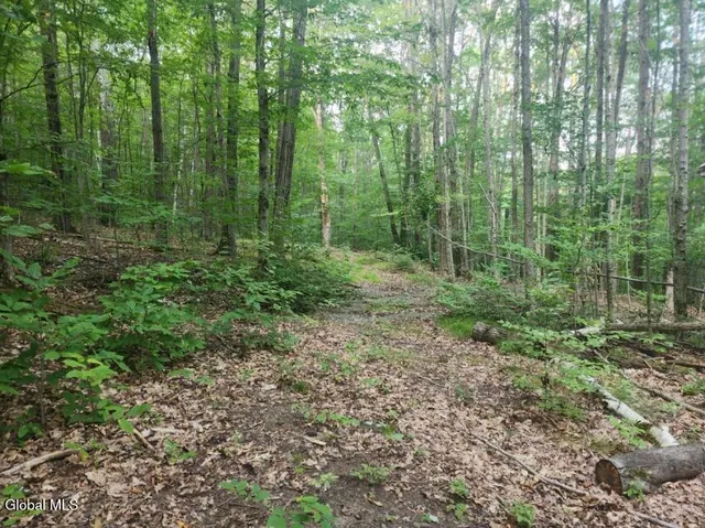 $36,000 | L11 Rebel Ridge Road, Jefferson, NY 12093