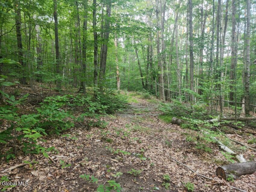 L11 Rebel Ridge Road Jefferson, NY 12093 - Photo 17 of 45 20250805_184330