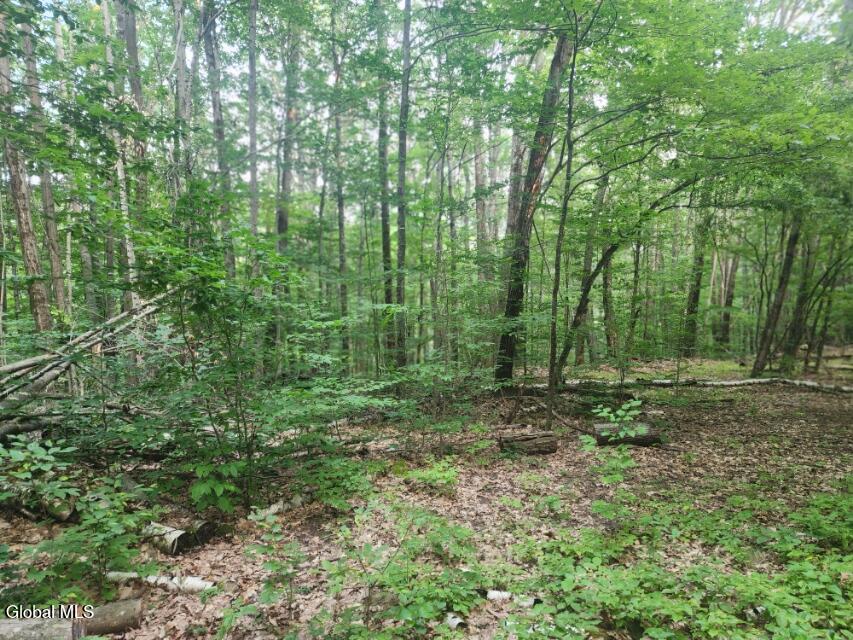 L11 Rebel Ridge Road Jefferson, NY 12093 - Photo 18 of 45 20250805_184333