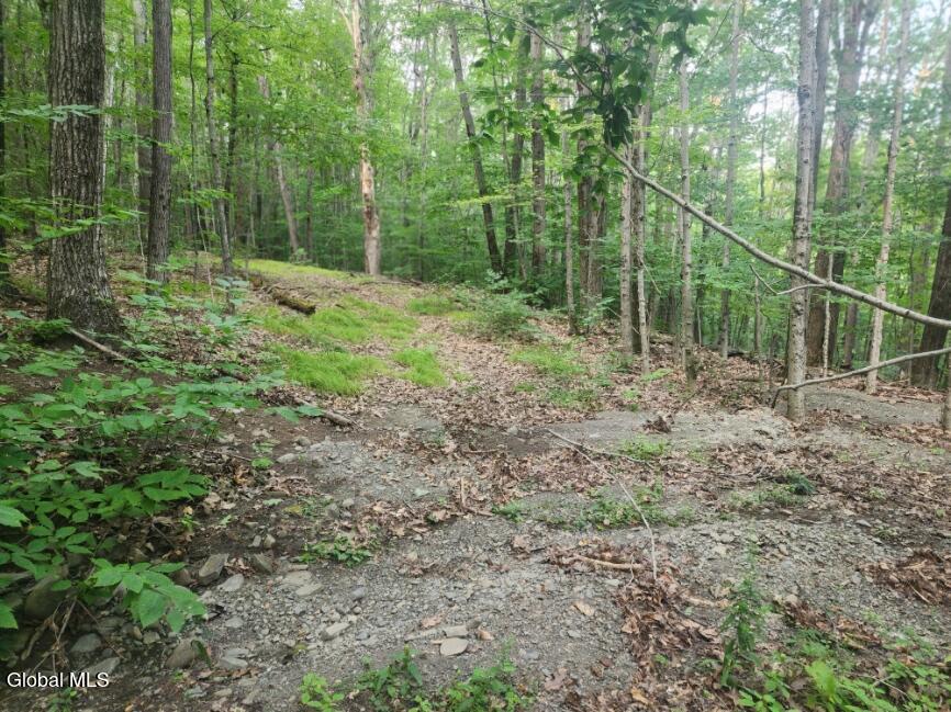 L11 Rebel Ridge Road Jefferson, NY 12093 - Photo 19 of 45 20250805_184350