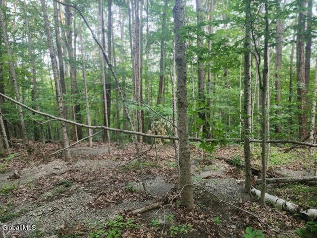 $36,000 | L11 Rebel Ridge Road, Jefferson, NY 12093