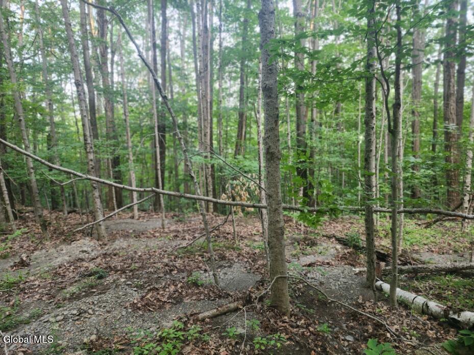 L11 Rebel Ridge Road Jefferson, NY 12093 - Photo 20 of 45 20250805_184353