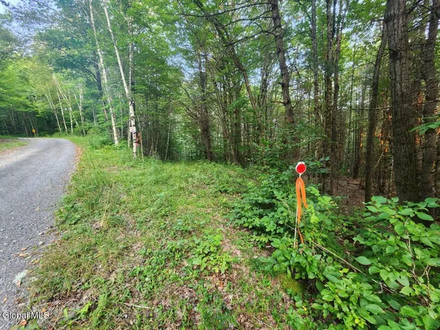 $36,000 | L11 Rebel Ridge Road, Jefferson, NY 12093