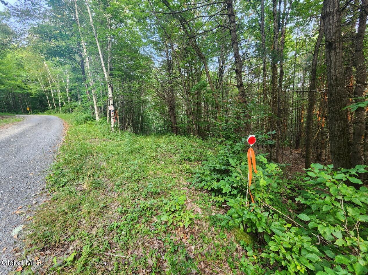 L11 Rebel Ridge Road Jefferson, NY 12093 - Photo 2 of 45 20250805_190540