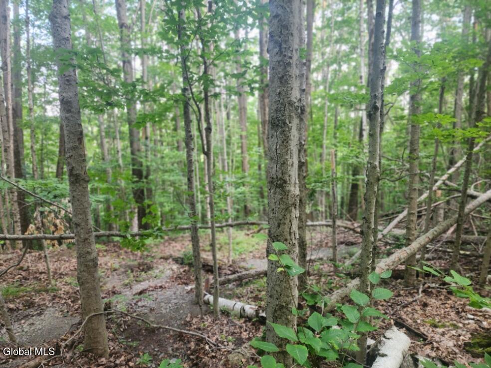 L11 Rebel Ridge Road Jefferson, NY 12093 - Photo 21 of 45 20250805_184357