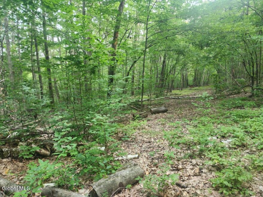 L11 Rebel Ridge Road Jefferson, NY 12093 - Photo 22 of 45 20250805_184405