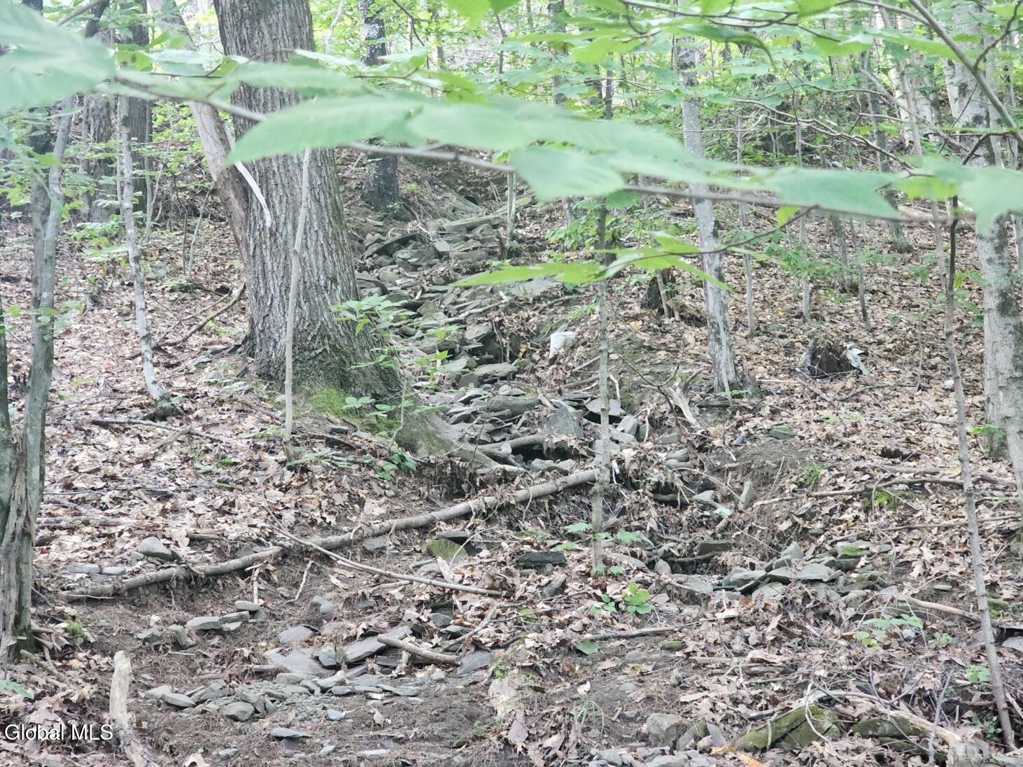 L11 Rebel Ridge Road Jefferson, NY 12093 - Photo 23 of 45 20250805_184556